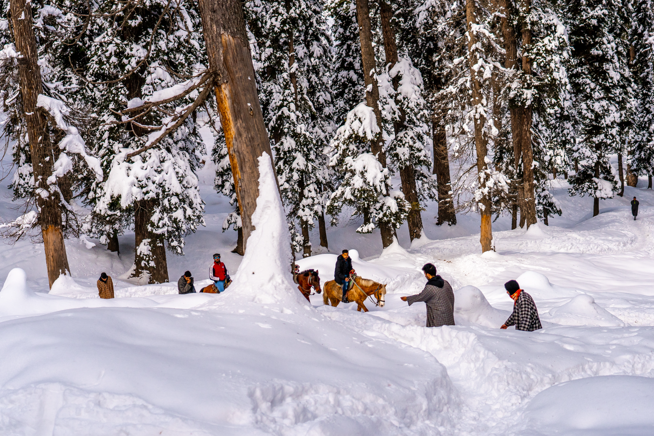 Gulmarg, Jammu and Kashmir