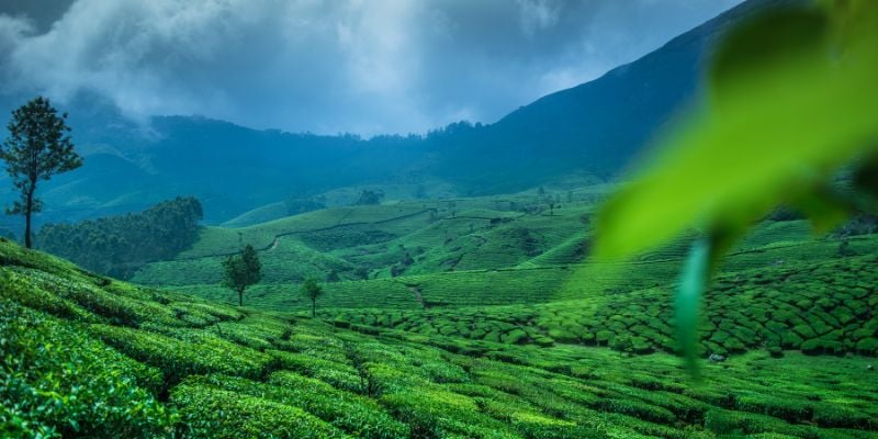 Tourist Guide to Unforgettable Kerala