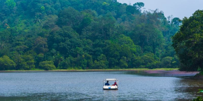 Wayanad - An Escape to Nature