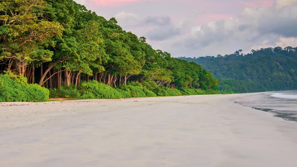 Radhanagar Beach