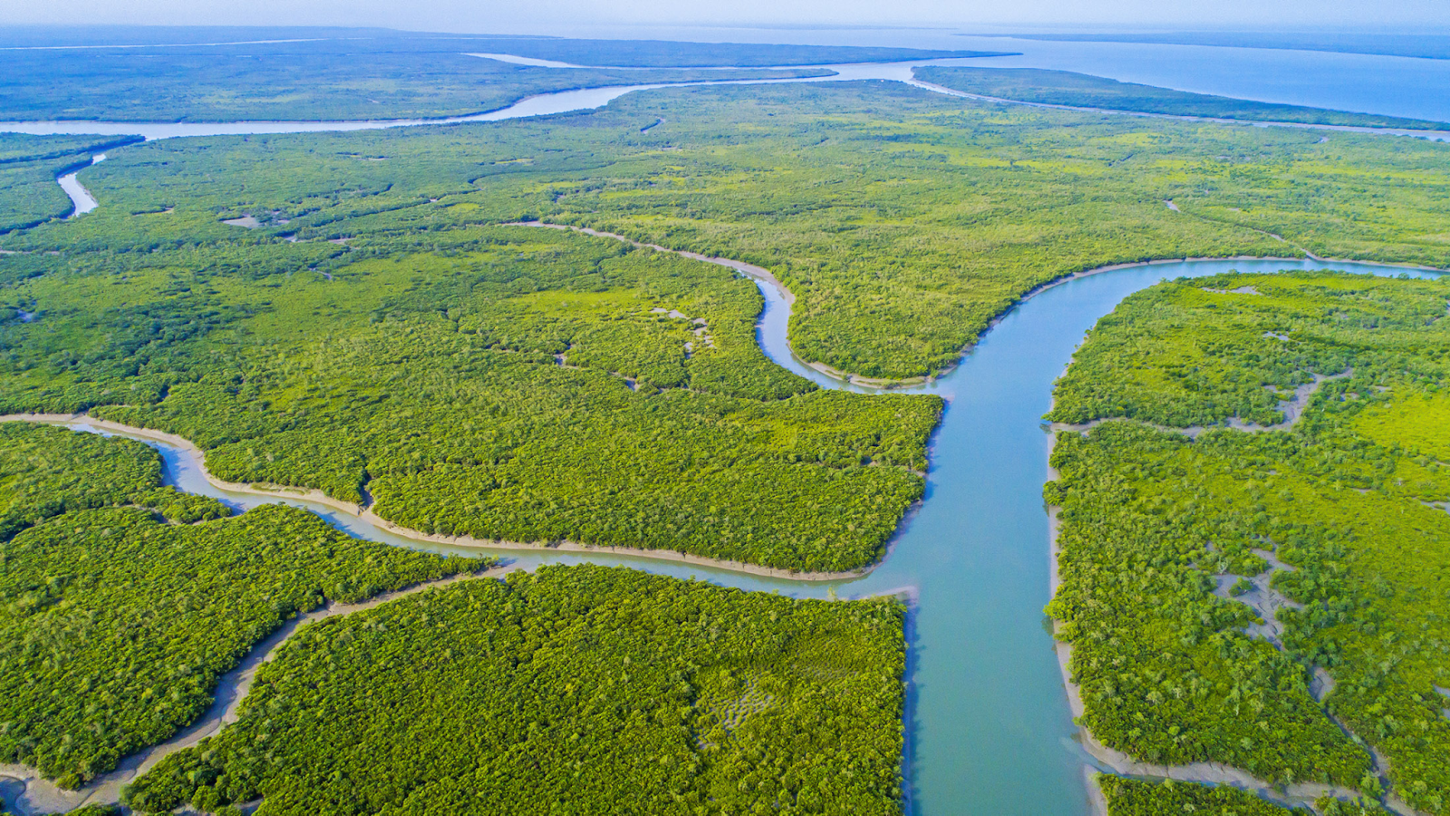 Sundarbans Delta